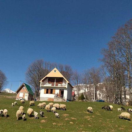 Kolibri Villa Žabljak Kültér fotó