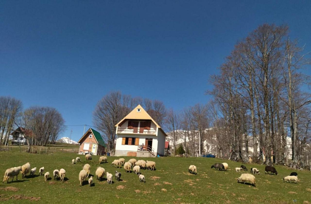 Kolibri Villa Žabljak Kültér fotó