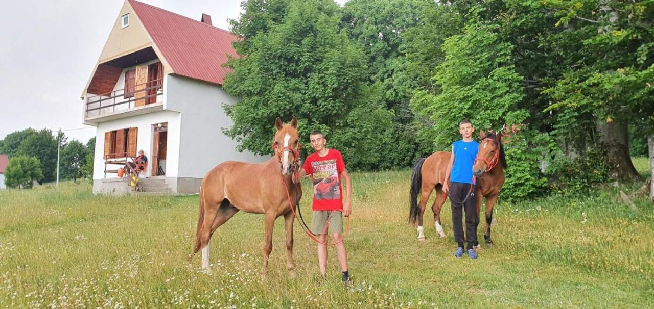 Kolibri Villa Žabljak Kültér fotó